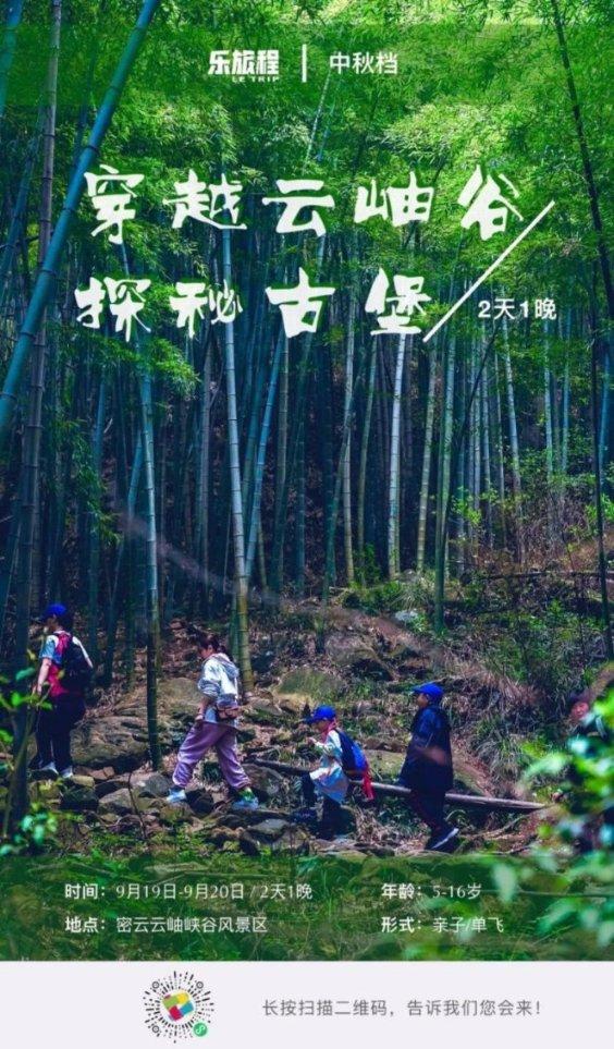 拯救毛茸茸男人